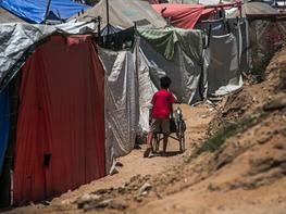 Bilder med fotocred 3