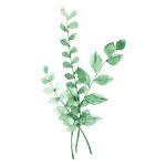 Bukett med tre grenar med gröna blad. 
